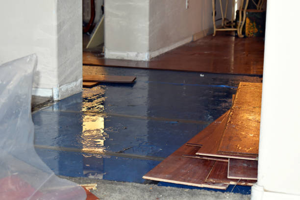Professional Emergency Water Damage Restoration technician working in Hooven, OH